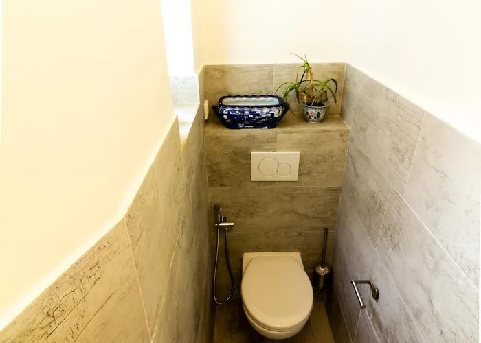 Apartment Salve